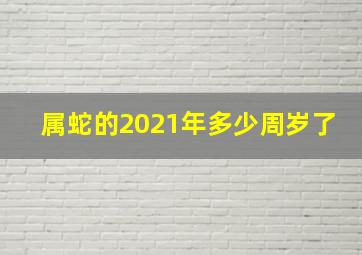 属蛇的2021年多少周岁了