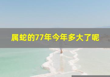 属蛇的77年今年多大了呢