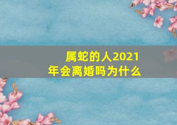 属蛇的人2021年会离婚吗为什么