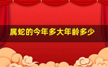 属蛇的今年多大年龄多少