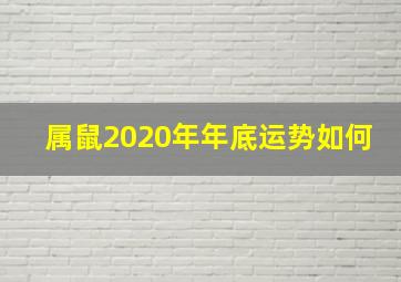 属鼠2020年年底运势如何