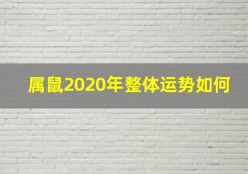 属鼠2020年整体运势如何