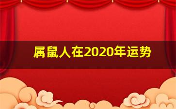 属鼠人在2020年运势