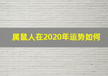 属鼠人在2020年运势如何