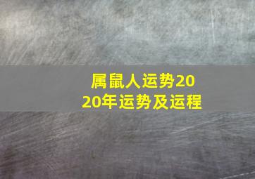 属鼠人运势2020年运势及运程