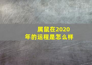 属鼠在2020年的运程是怎么样