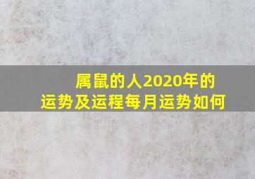 属鼠的人2020年的运势及运程每月运势如何