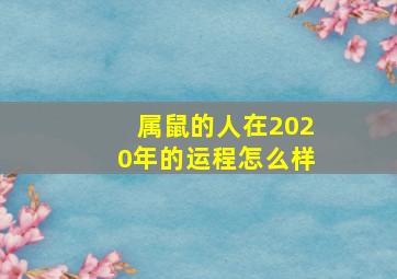 属鼠的人在2020年的运程怎么样