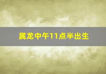 属龙中午11点半出生