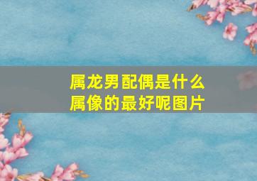 属龙男配偶是什么属像的最好呢图片