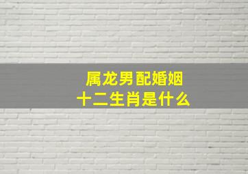 属龙男配婚姻十二生肖是什么