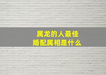 属龙的人最佳婚配属相是什么