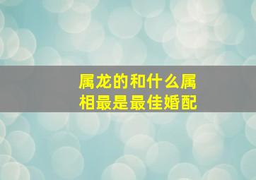 属龙的和什么属相最是最佳婚配