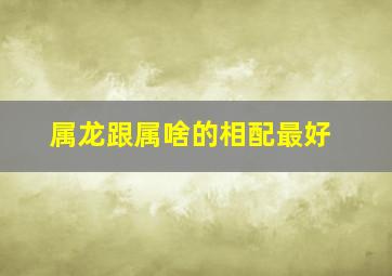 属龙跟属啥的相配最好