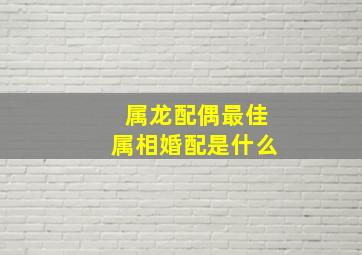 属龙配偶最佳属相婚配是什么