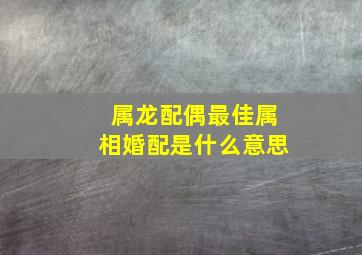 属龙配偶最佳属相婚配是什么意思