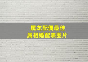 属龙配偶最佳属相婚配表图片