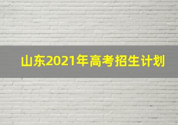 山东2021年高考招生计划