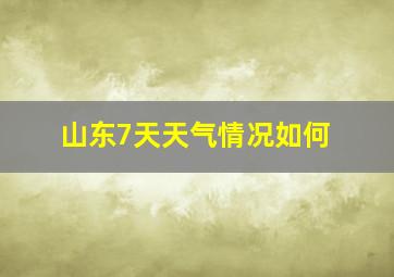 山东7天天气情况如何