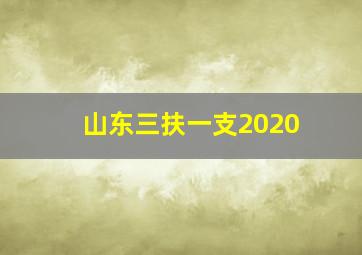 山东三扶一支2020