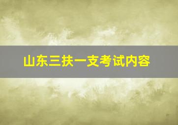 山东三扶一支考试内容