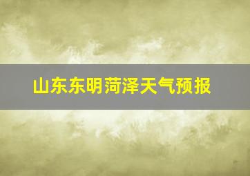 山东东明菏泽天气预报