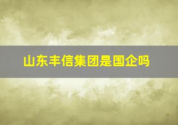 山东丰信集团是国企吗