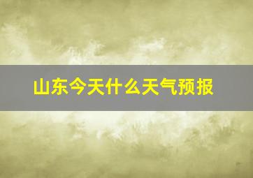 山东今天什么天气预报