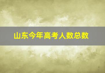 山东今年高考人数总数