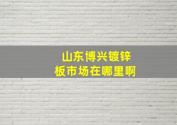 山东博兴镀锌板市场在哪里啊