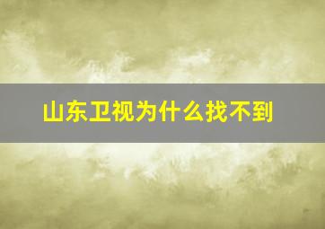 山东卫视为什么找不到