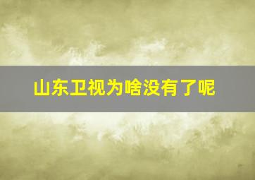 山东卫视为啥没有了呢