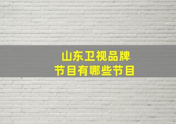 山东卫视品牌节目有哪些节目