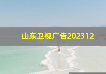 山东卫视广告202312