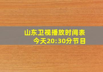 山东卫视播放时间表今天20:30分节目