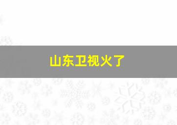 山东卫视火了