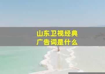 山东卫视经典广告词是什么