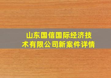 山东国信国际经济技术有限公司新案件详情