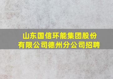 山东国信环能集团股份有限公司德州分公司招聘