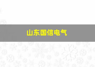 山东国信电气