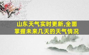 山东天气实时更新,全面掌握未来几天的天气情况