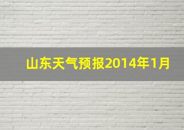 山东天气预报2014年1月