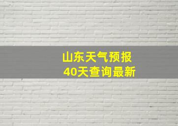 山东天气预报40天查询最新