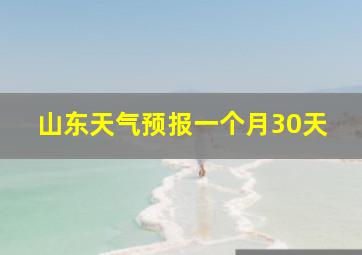 山东天气预报一个月30天