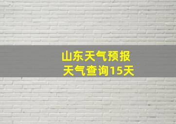 山东天气预报天气查询15天