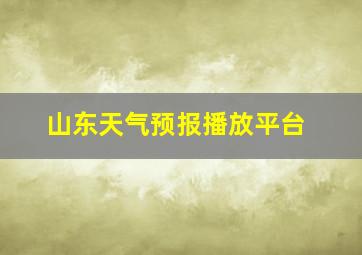 山东天气预报播放平台