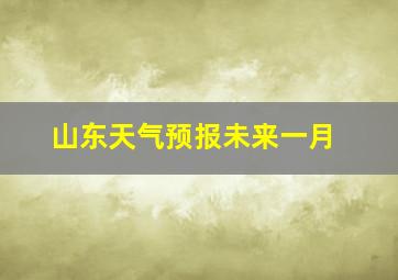 山东天气预报未来一月