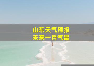 山东天气预报未来一月气温