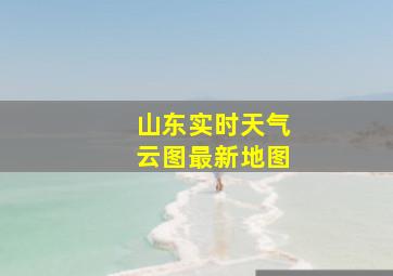 山东实时天气云图最新地图