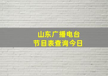 山东广播电台节目表查询今日